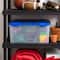 IRIS® 60qt. Clear Ultimate Box with Blue Buckle Lid